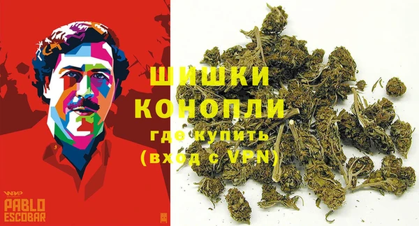 стафф Магадан