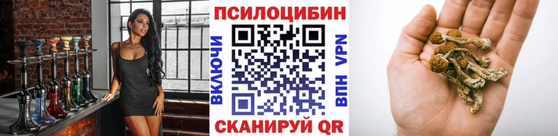 сколько стоит  darknet формула  Псилоцибиновые грибы мухоморы  Талдом 